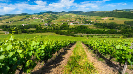 château dans le Beaujolais