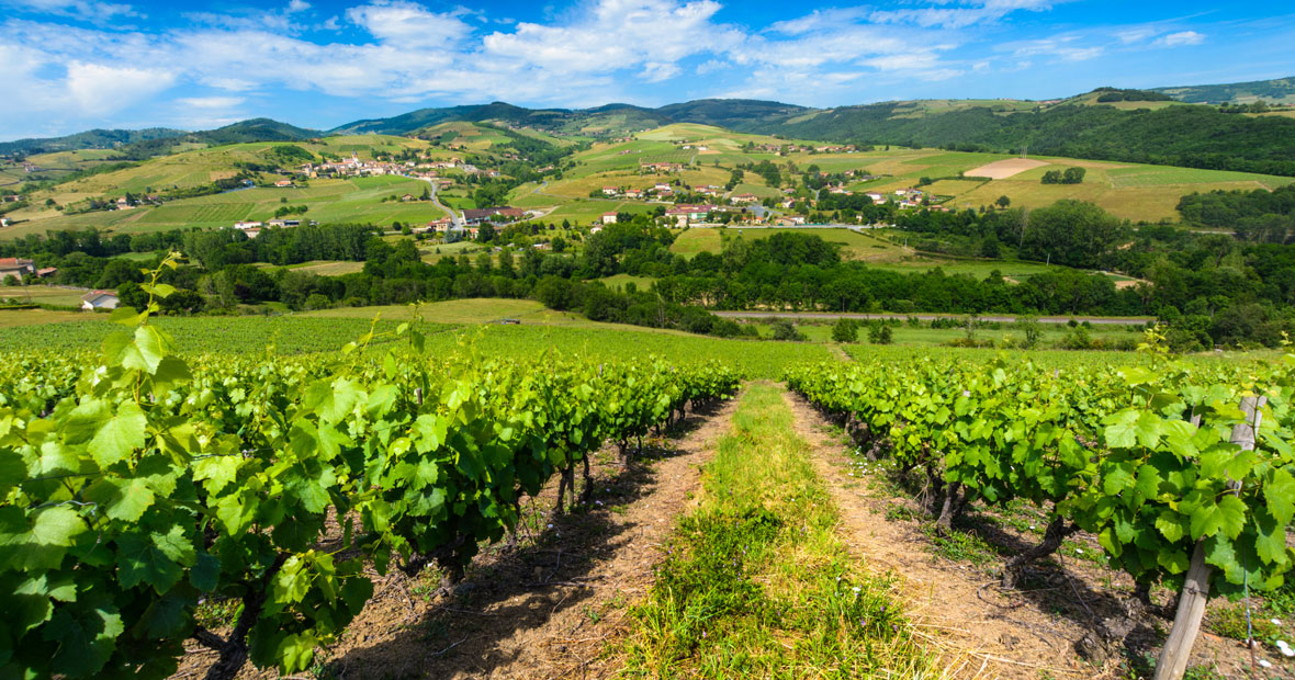 château dans le Beaujolais